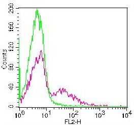 Monoclonal Antibody to human CTLA-4 (Clone:BN13)